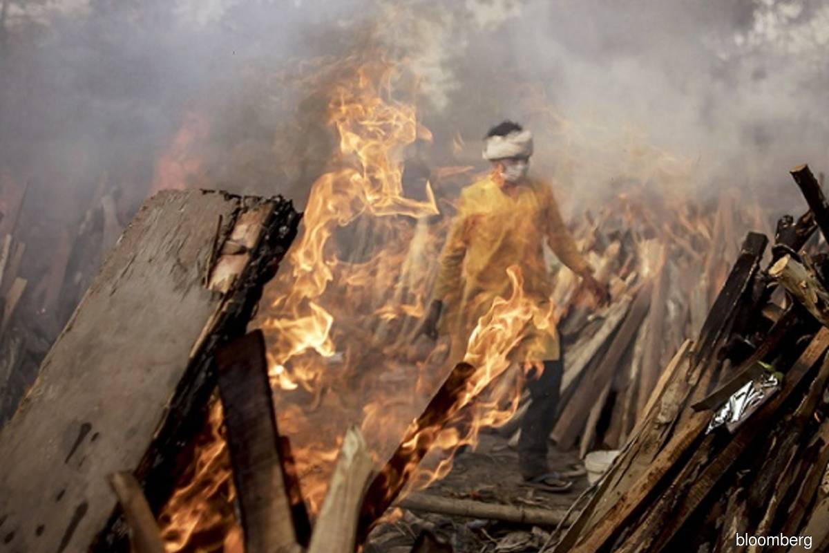 Pandemic or climate change, government has a crucial role to play